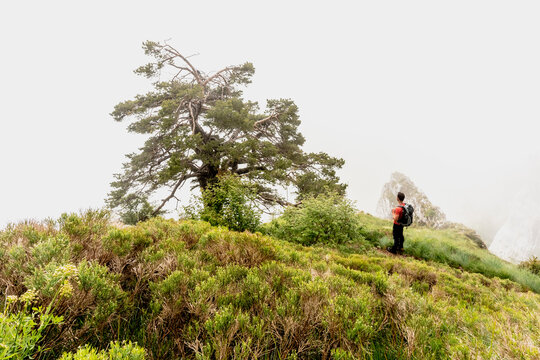 Trekking from Altissimo refuge to Malga Campo. Hiker with backpack exploring grassy mountain slopes during a misty adventure in nature,  Monte Baldo Natural Park, Brentonico, Trentino, Veneto, Italy.