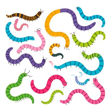 A digital illustration of 13 colorful worm-like creatures with segmented bodies and antennae on a white background