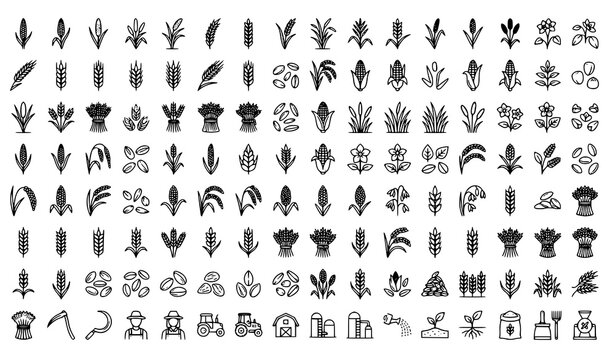 Cereal Crop Line Icons Collection Editable Stroke Vector EPS