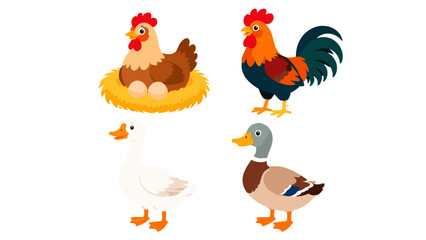 Cartoon farm bird set with hen rooster goose and duck © icon_art