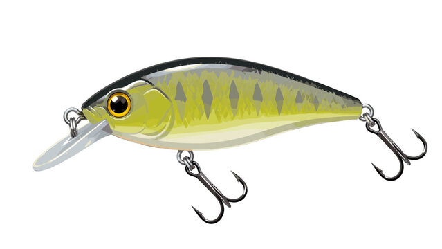 Detailed crankbait fishing lure isolated on white background