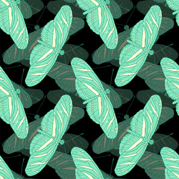 Layered seamless pattern with hand-drawn mint green zebra longwing butterflies on a dark black background. Bold tropical insect botanical art illustration with vintage texture.