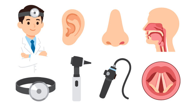 Ear nose and throat doctor with anatomy and medical tools set