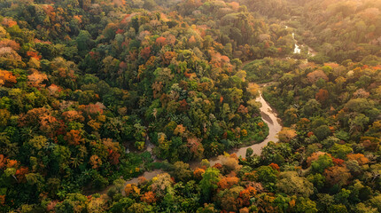Obraz premium Aerial view of a winding river in autumn forest. Scenic landscape with colorful fall foliage trees.