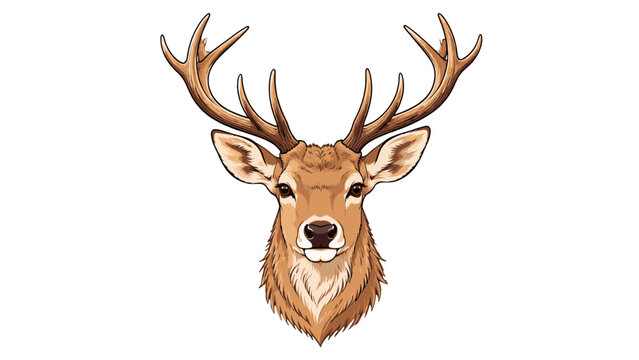 Illustrated deer head with large antlers isolated on white
