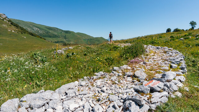 Hiker exploring an alpine meadow on a rocky trail, enjoying an outdoor adventure in San Valentino di Brentonico, Monte Baldo Natural Park, Brentonico, Trentino, Italy.