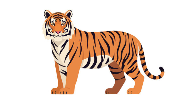 Majestic bengal tiger standing in side profile
