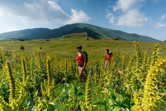Active couple hiking through a scenic wildflower meadow in the mountains, Corna Piana Botanical Reserve, Monte Baldo Natural Park, Brentonico, Trentino, Veneto, Italy.