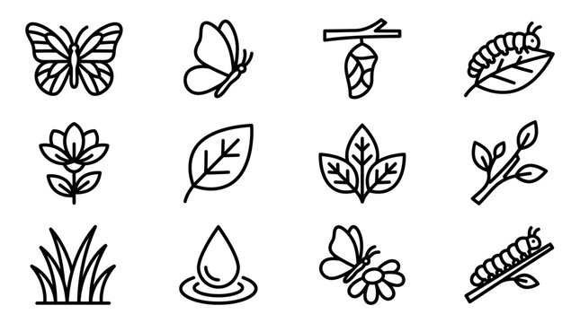 Butterfly Life Cycle Icons: Egg, Larva, Pupa, Adult, Plant, Nature Elements