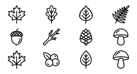 Autumn Nature Icons: Maple, Oak, Birch Leaves, Acorn, Pinecone, Mushroom, Berries © kacuk