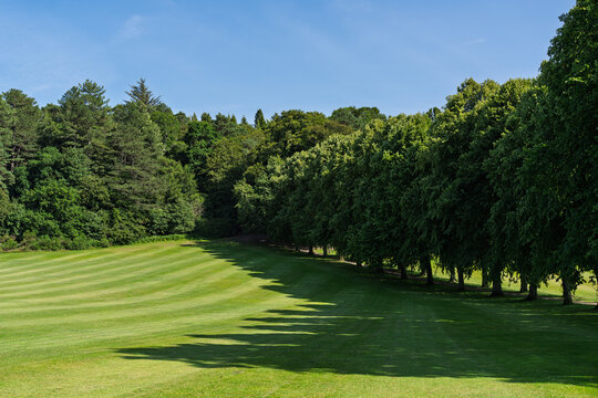 Grant Park landscape showing striped green grass and a line of trees casting long shadows under the bright sun in Forres Moray Scotland