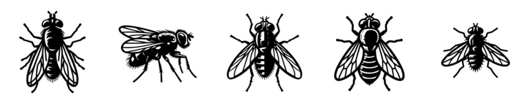 Housefly silhouette vectors set. Black and white fly insect top view and side view illustration for logo, icon, and design.