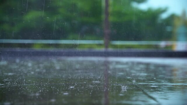 Heavy rainfall pouring on concrete floor with lush green foliage background