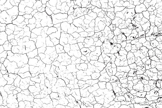 Dried cracked earth surface showing extensive parched soil patterns and texture details