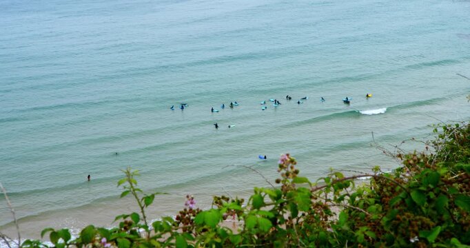 Surfers in Turquoise Waves: A group of surfers waits for the next wave in the tranquil turquoise waters of the ocean, with a sandy beach visible in the background and lush greenery in the foreground.