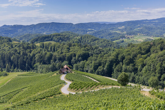 Weinbau, Herz, Strasse, Steiermark, slowenien.