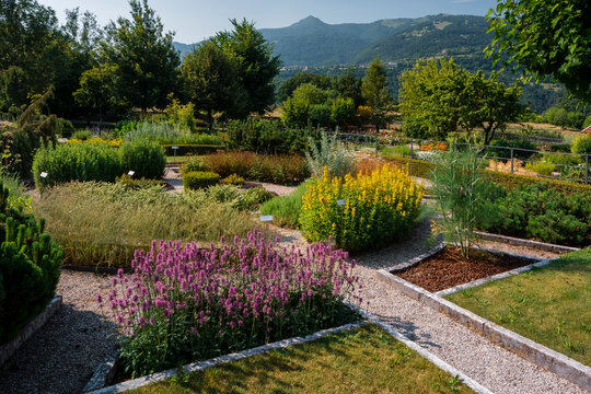 Vibrant flower beds and lush greenery in a scenic botanical garden of "Semplici", Monte Baldo Natural Park, Brentonico, Palazzo Baisi e Giradino dei Semplici, Trentino, Veneto, Italy.