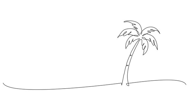 animated minimalist continuous one line drawing of single palm tree on a beach, tropical summer concept, line art animation