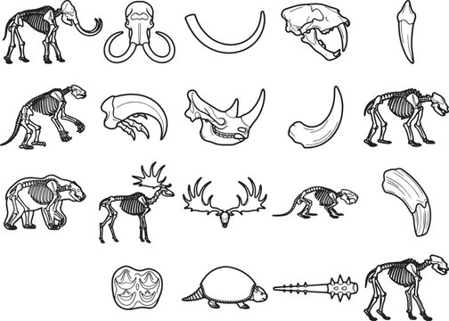 A collection of detailed illustrations of prehistoric animal skeletons and skeletal parts, including a mammoth, sabre-toothed cat, cave bear, deer, and rhino, along with individual bones and teeth.