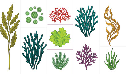 Underwater Seaweed and Marine Algae Botanical Icon Set with Kelp Forest, Aquarium Plants, Coral Reef Vegetation, and Ocean Flora Vector Graphics © MstRakha