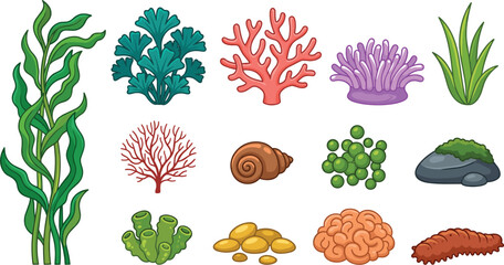 Vibrant Underwater Coral Reef and Marine Vegetation Vector Icon Set with Sea Anemone, Kelp, Colorful Sponges, Brain Coral, and Ocean Flora Assets © MstRakha