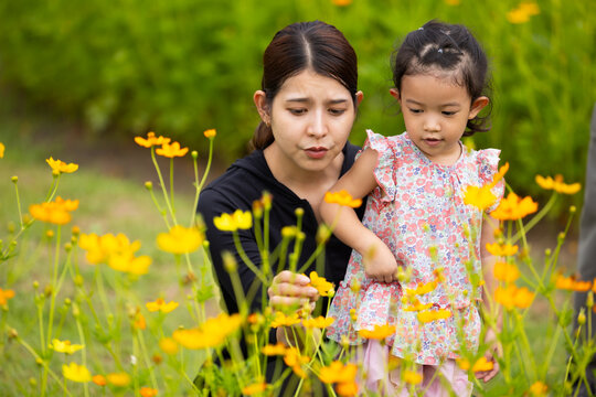 Mother and daughter walking hand in hand at spring park, moment of family bonding and togetherness. outdoor activitie. Asian Family with father mother daughter and grandfather