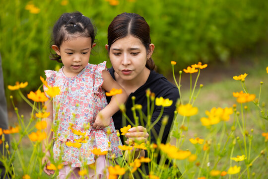 Mother and daughter walking hand in hand at spring park, moment of family bonding and togetherness. outdoor activitie. Asian Family with father mother daughter and grandfather