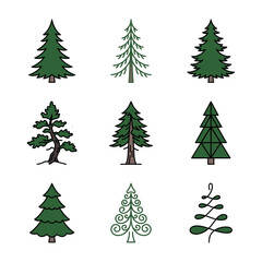 Obraz premium Collection of various pine and coniferous tree icons with different shapes and textures evergreen botanical woodland