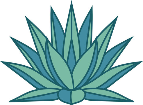 Minimalist agave plant vector illustration featuring blue and green leaves ideal for branding web design or natural product packaging
