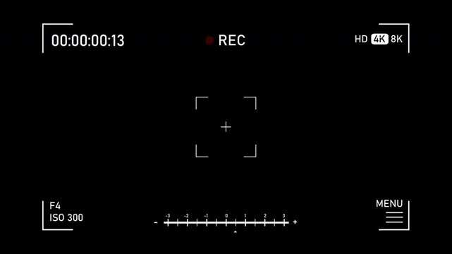Digital Camera Viewfinder Overlay Display with Recording Mode Interface