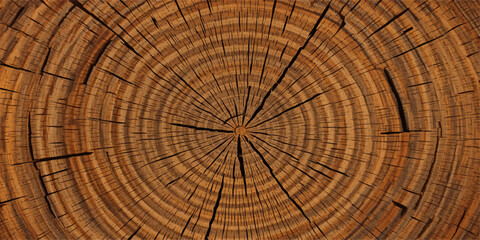 Rustic Cross Section of Tree Trunk with Natural Growth Rings Wood Texture Background and Aged Timber Pattern for Nature Forestry and Organic Design © MDKAWSAR