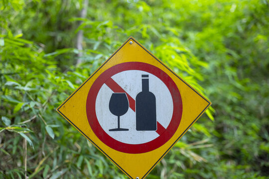 No alcohol sign on yellow diamond sign in green forest, prohibition symbol with bottle and wineglass, warning for visitors about drinking restriction