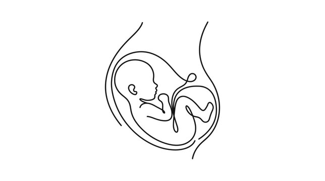 Minimalist line art of a fetus inside a womb, symbolizing pregnancy and new life