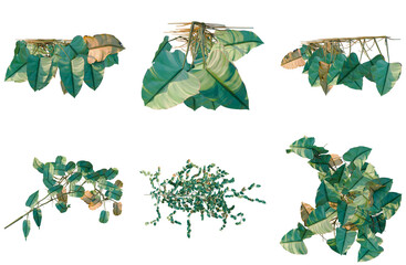 Set of  Philodendron scandens-Sweetheart tree plan, top view, cutout, transparent background, isolate, Stylized Hanging Plants - Vector Graphics for Game Development and Digital Art Projects © DH Tree Stock