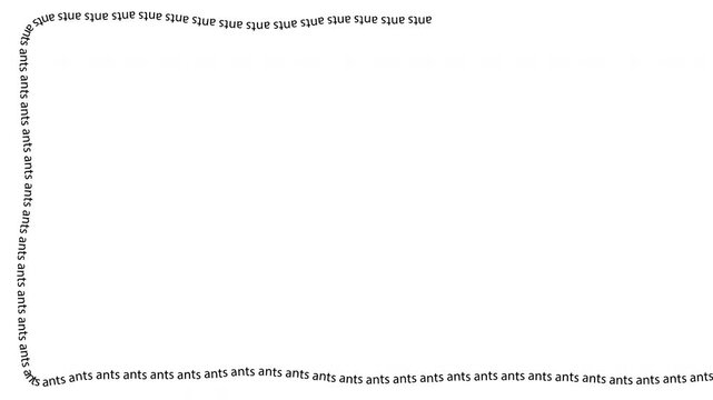 Ants text animation on white background. Black and white for composite and presentation.