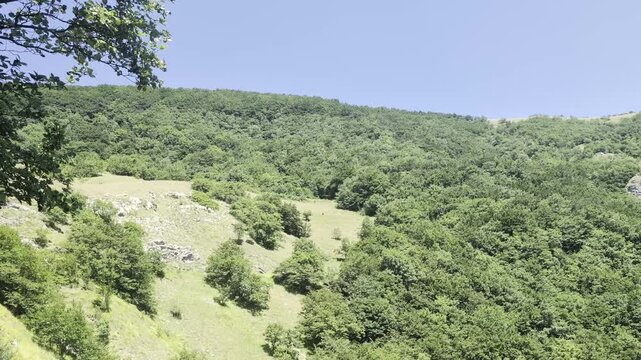 Montagna verde ricoperta da vegetazione rigogliosa e rocce sparse, con pendii che scendono verso vallate profonde immerse nel bosco.