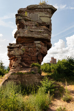 Blick vom gegen&uuml;berliegenden Aussichtsh&uuml;gel mit Buntsandstein-Felsennadel auf die ehemalige Reichsburg Trifels bei Annweiler, Rheinland-Pfalz