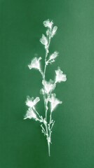 Obraz premium Minimalist floral design on green background, perfect for mobile wallpaper.