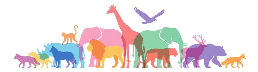 Colorful Animal Silhouettes Collection: Safari, Forest, and Sky Creatures © rujiman