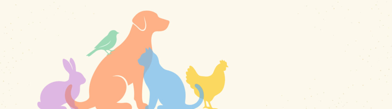 Colorful animal silhouettes: dog, cat, rabbit, bird, chicken on cream background
