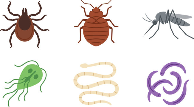 Parasites and pest insects vector illustration set featuring deer tick bloodsucking bedbug mosquito micro organism giardia hookworm parasite and parasitic larvae microbes
