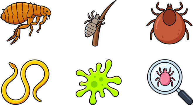 Parasites and pest bugs vector illustration set featuring domestic flea head louse deer tick parasitic worm amoeba cell and mite under magnifier