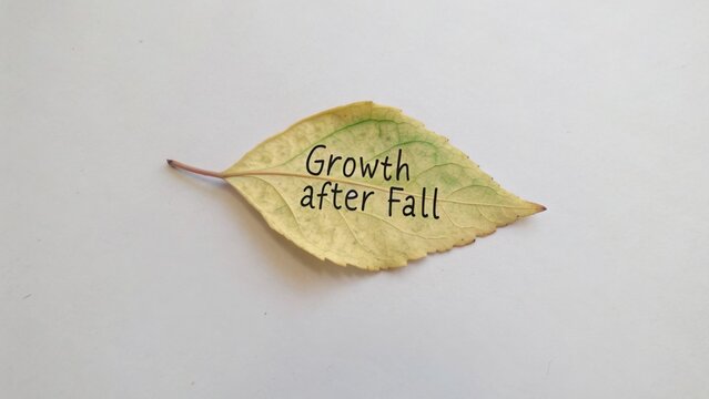 A Close-Up of a Yellow Leaf Featuring the Inspirational Phrase Growth after Fall on a White Background