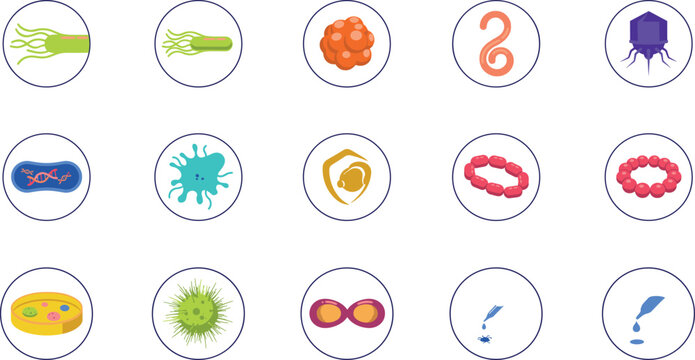 Microbiology and Virology Circle Icon Set Featuring Scientific Diagrams of Bacteria Viruses Parasites Helminths Pathogens and Laboratory Petri Dish Cultures