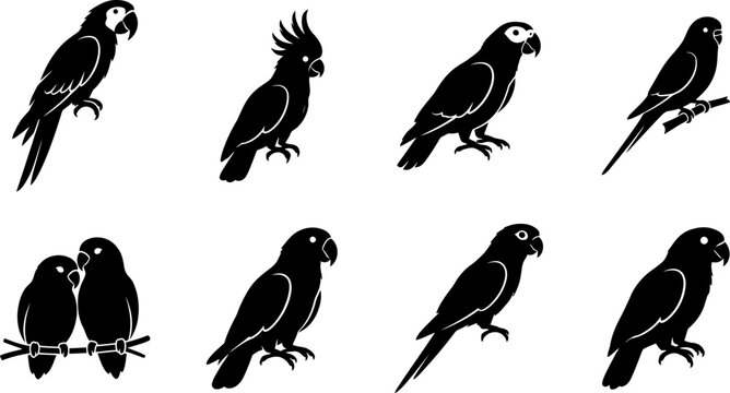 black silhouette parrots and tropical birds in various poses