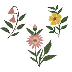 Fototapeta premium set of flowers