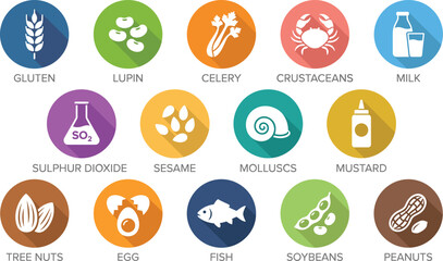 Food allergen icons, healthcare dietary information signs, colorful flat round symbols for product packaging safety, graphic design elements © MdJafrul