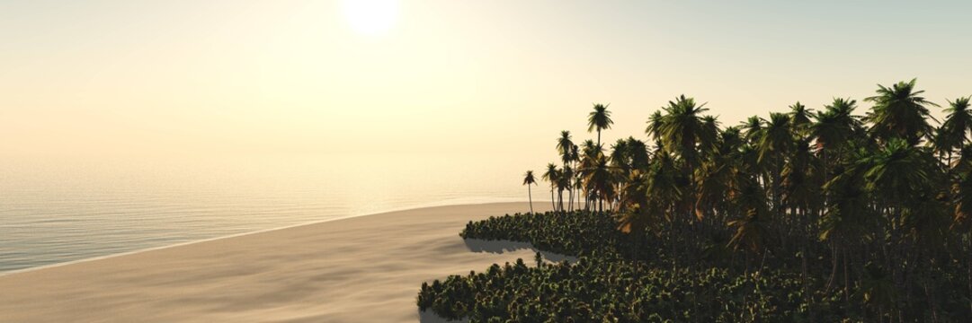 Beautiful beach with palm trees at sunset, panorama of a tropical landscape, sea sunset,
3d rendering