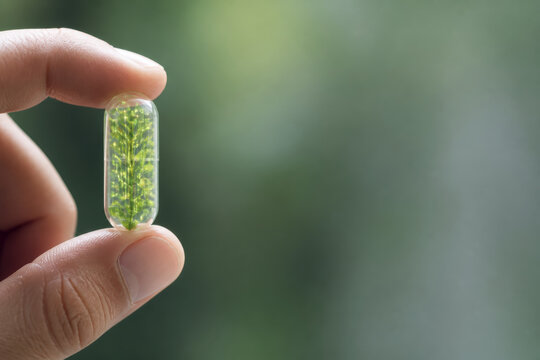 Nutrition personalized science capsule in hand with green plant ingredient and soft natural light