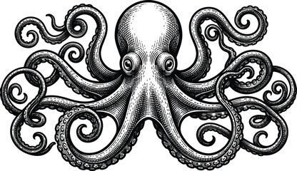 Vintage octopus illustration, detailed marine kraken drawing, sea monster sketch, nautical aquatic wildlife graphic element for design, tattoo art © MstSumi